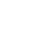 IMSS.png