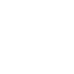 interjet.png